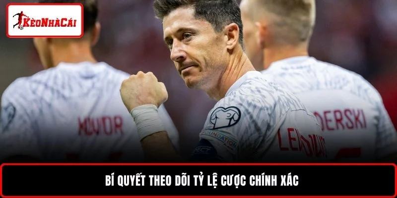 Bí quyết theo dõi tỷ lệ cược chính xác