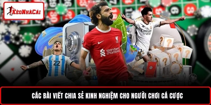Các bài viết chia sẻ kinh nghiệm cho người chơi cá cược