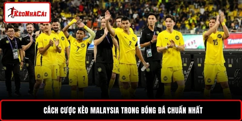 Cách cược kèo Malaysia trong bóng đá chuẩn nhất