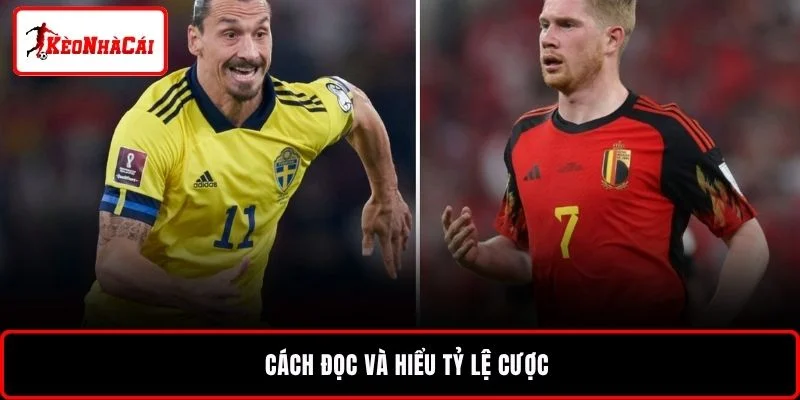 Cách đọc và hiểu tỷ lệ cược