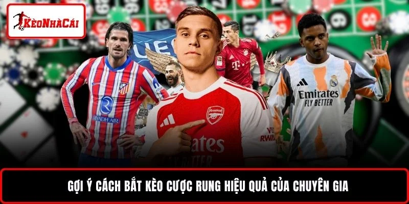 Gợi ý cách bắt kèo cược rung hiệu quả của chuyên gia