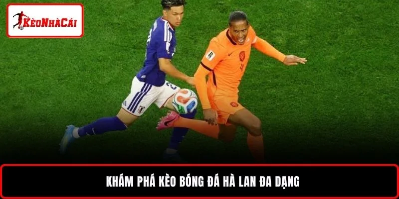 Khám phá kèo bóng đá Hà Lan đa dạng