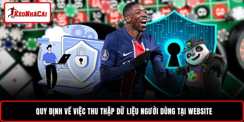Quy định về việc thu thập dữ liệu người dùng tại website