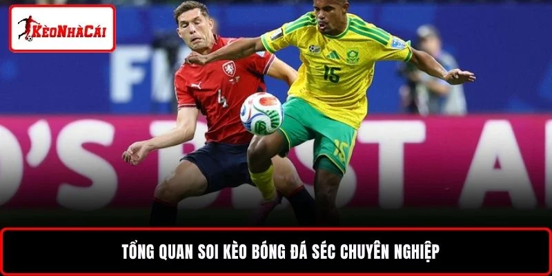 Tổng quan soi kèo bóng đá Séc chuyên nghiệp