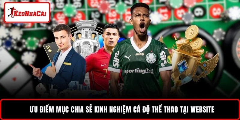 Ưu điểm mục chia sẻ kinh nghiệm cá độ thể thao tại website
