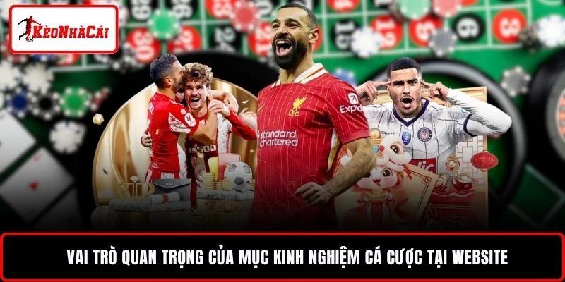 Vai trò quan trọng của mục kinh nghiệm cá cược tại website